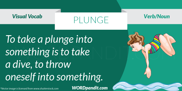 What Does Plunge Mean In Spanish