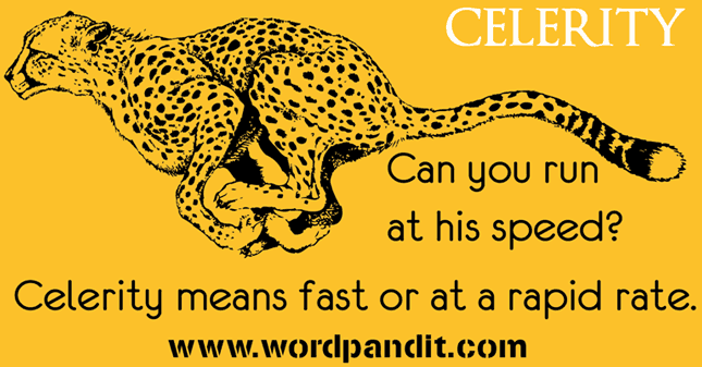 Meaning of Celerity