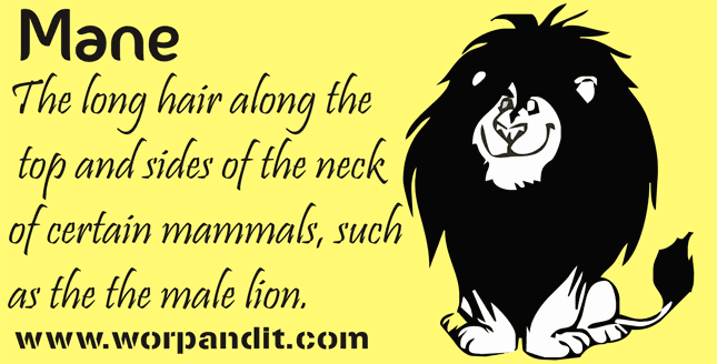 Meaning Of Mane