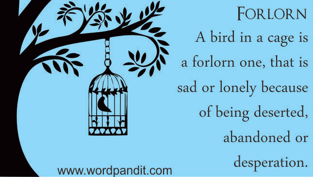 What Is The Meaning Of The Word Forlornly