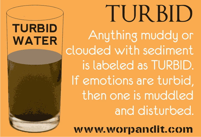 Turbid Water Meaning