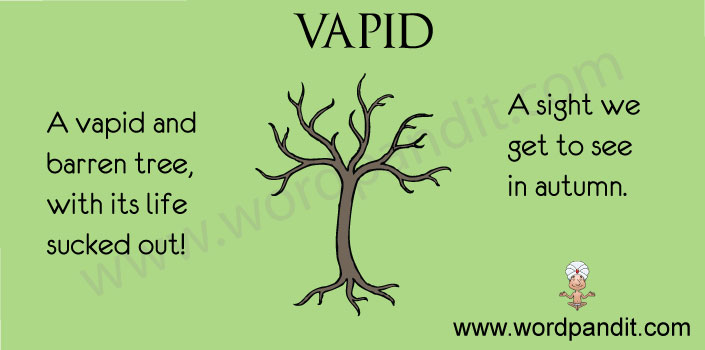 What Is The Correct Meaning Of The Word Vapid