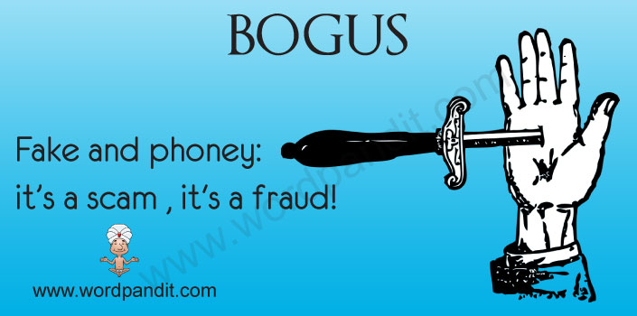 meaning-of-bogus