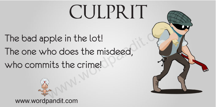 Meaning Of Culprit