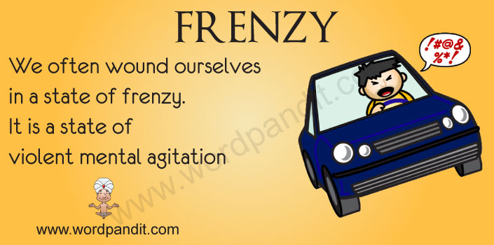 Meaning Of Frenzy