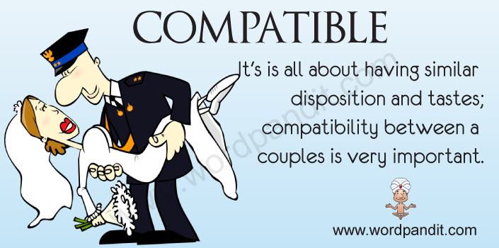 It S Not Compatible Meaning