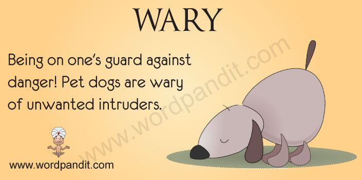 Meaning Of Wary