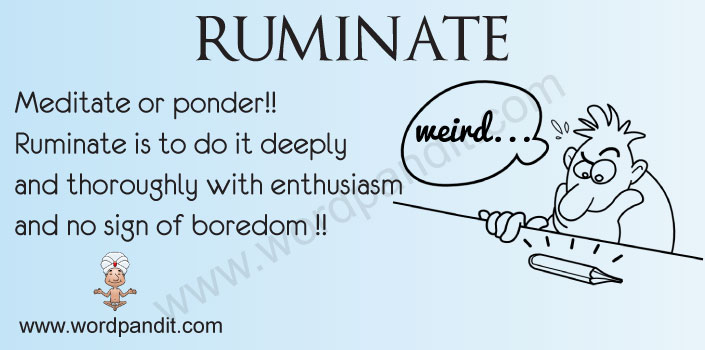 Meaning of Ruminate