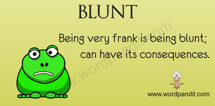 Meaning Of Blunt