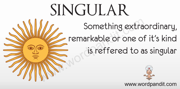 Meaning Of Singular