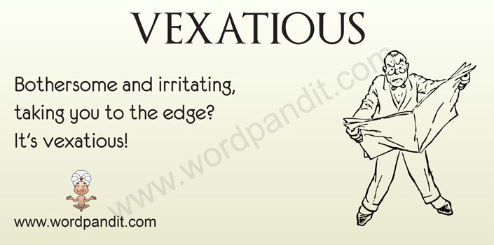 Meaning Of Vexatious