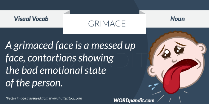 Meaning Of Grimace