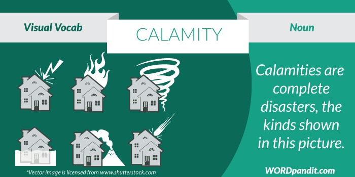 Calamity Meaning Synonyms And Antonyms