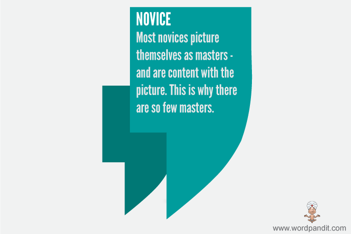 Meaning Of Novice