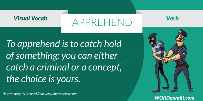 Meaning of Apprehend