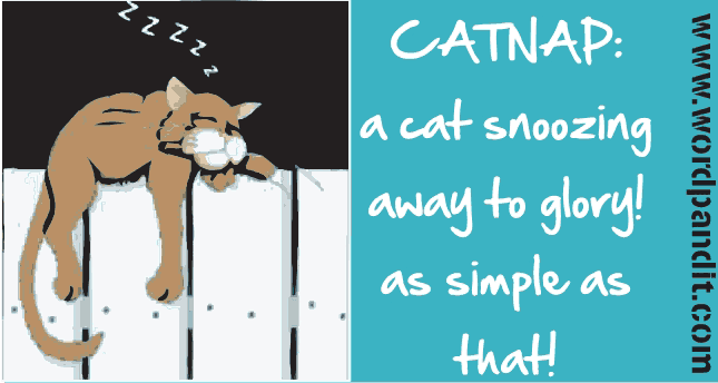 Meaning Of Catnap