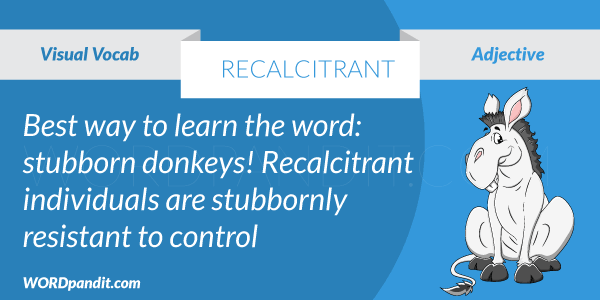 meaning-of-recalcitrant