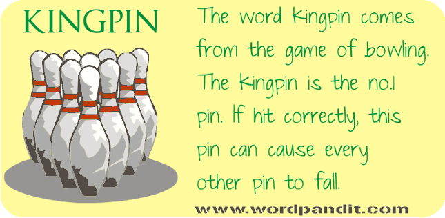 pin it meaning