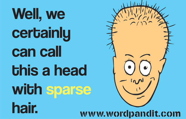 5 letter words from sparse