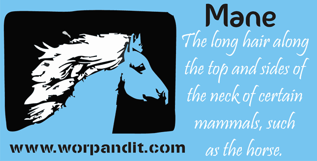 Meaning of mane
