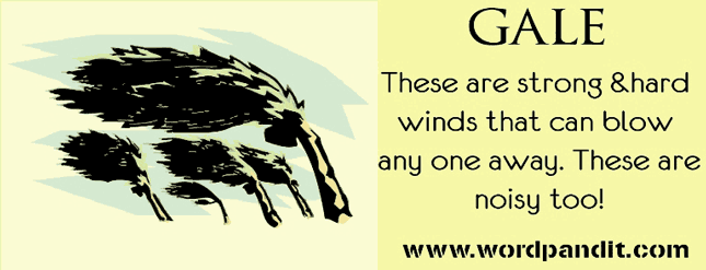 Meaning Of Gale