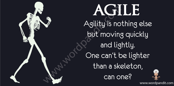 picture vocabulary for agile