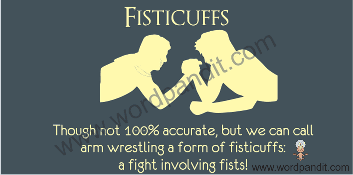 picture vocabulary for fisticuffs