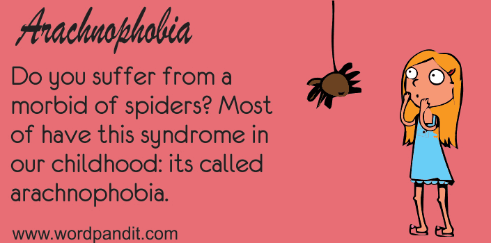 Arachnophobia meaning