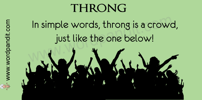 picture vocabulary for throng