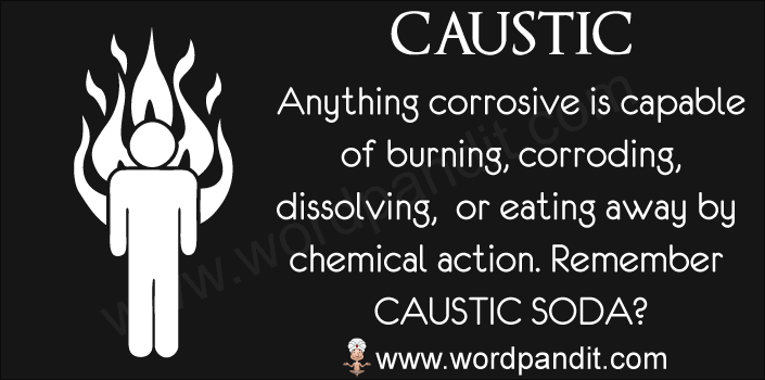 picture vocabulary for caustic
