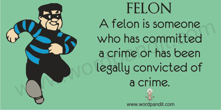 picture vocabulary for felon