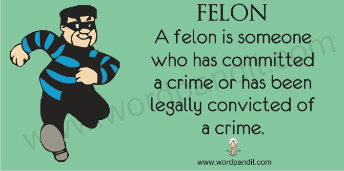 Meaning Of Felon