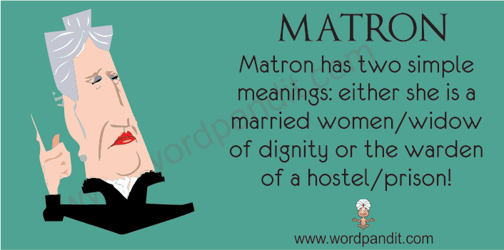 picture vocabulary for matron