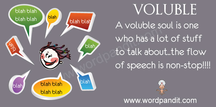 picture vocabulary of voluble