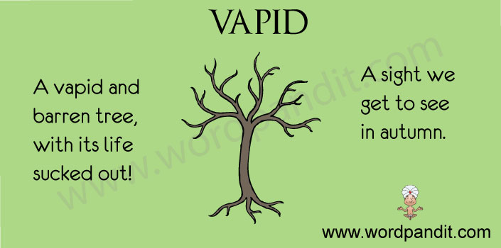 picture for vapid