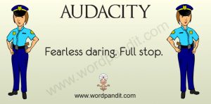 audacity definition