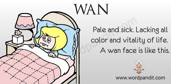 Meaning Of Wan