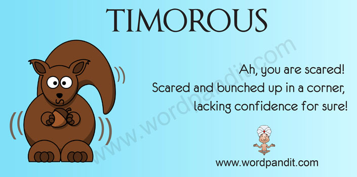 Picture for Timorous