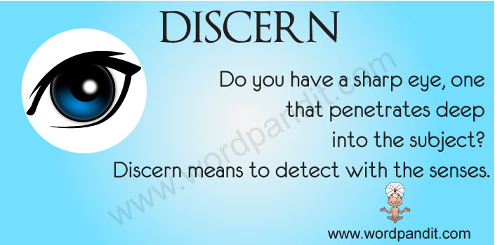 Picture of Discern