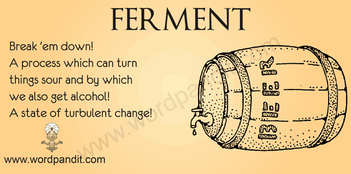 Picture for Ferment