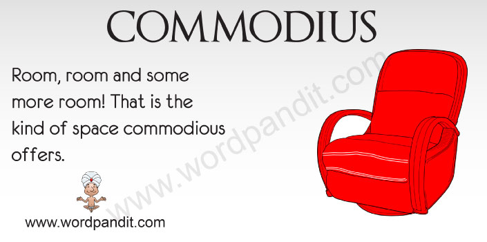 Picture for Commodious
