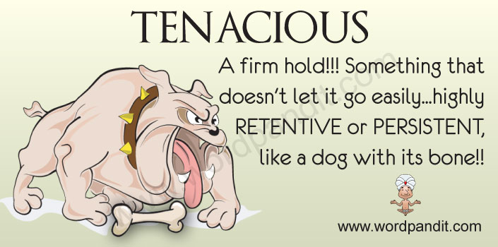 Picture for tenacious