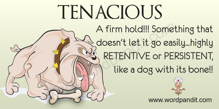 meaning of Tenacious