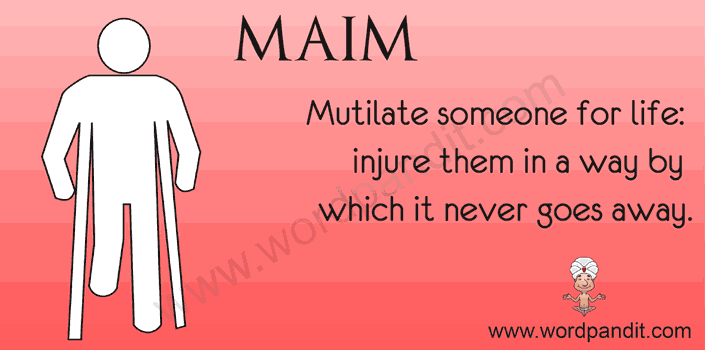 Maim meaning