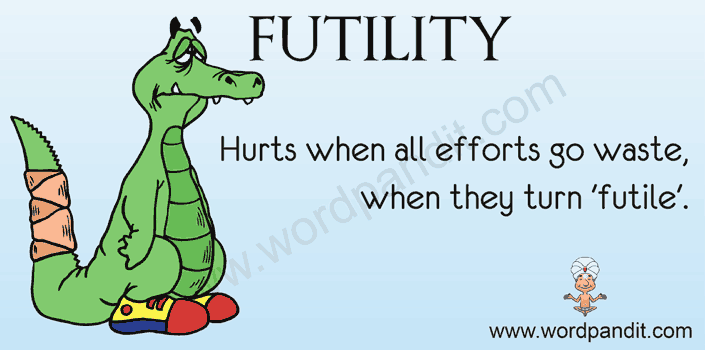 meaning-of-futility