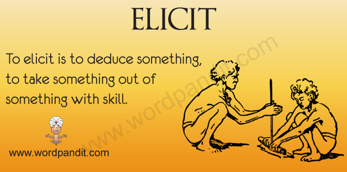 Picture for Elicit