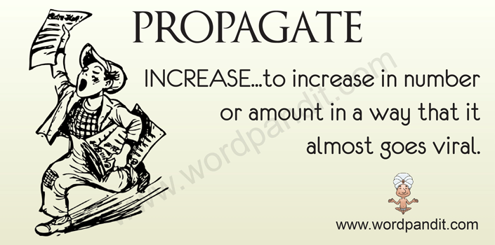 Picture for Propagate