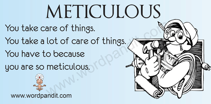 Picture for Meticulous