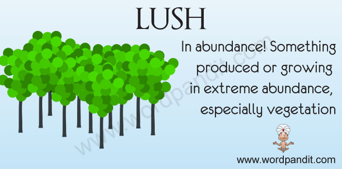 Meaning of Lush