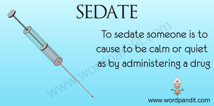 What Does Medically Sedated Mean